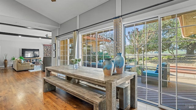 interior space with vaulted ceiling, a wealth of natural light, ceiling fan, and hardwood / wood-style flooring