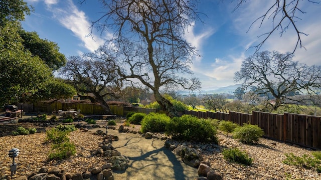 view of yard featuring a mountain view