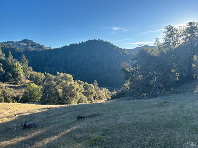 57451 Foster Creek Rd, Laytonville CA, 95454 land for sale