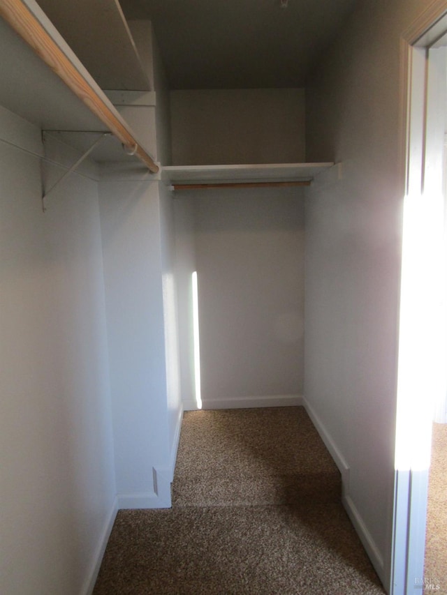 spacious closet featuring carpet flooring