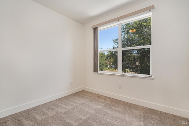 spare room featuring carpet