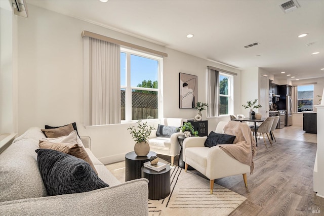 living room featuring light hardwood / wood-style flooring