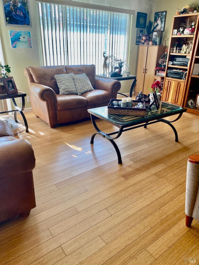 living room with light wood finished floors
