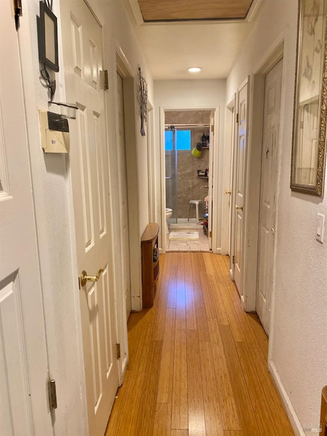 hallway featuring light wood-style floors