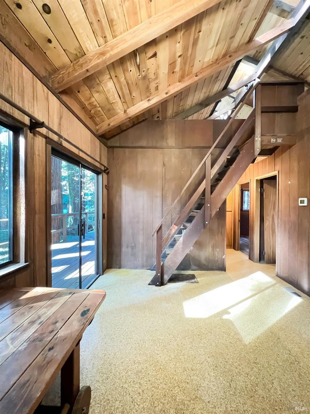 basement featuring carpet, wood ceiling, and wooden walls