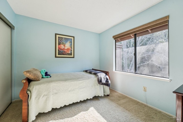 bedroom featuring carpet flooring