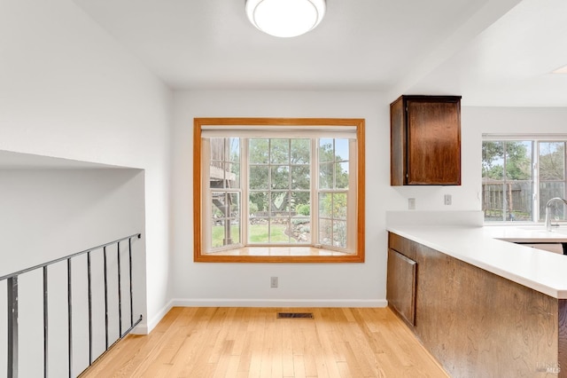 kitchen featuring plenty of natural light, sink, and light hardwood / wood-style flooring