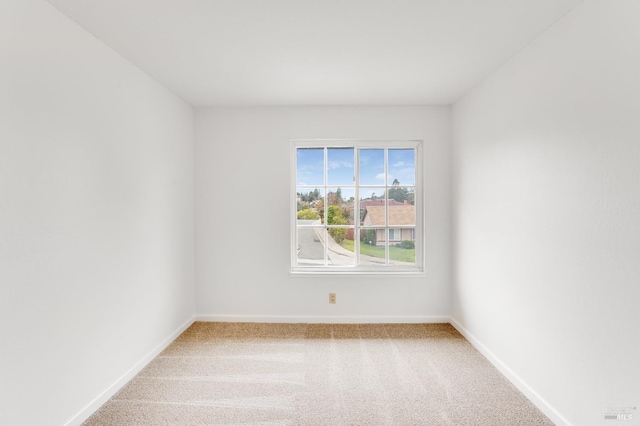 spare room with carpet floors