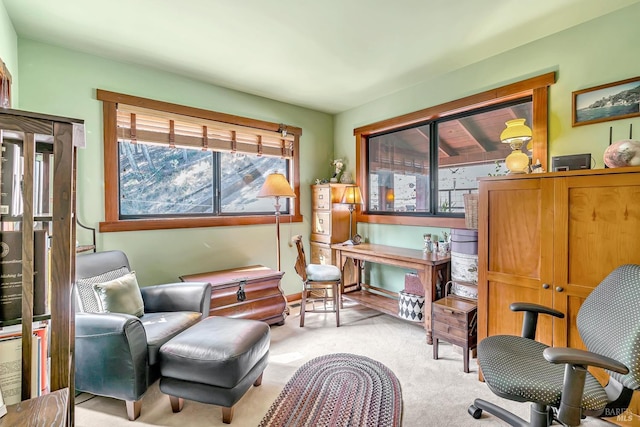 sitting room featuring light carpet