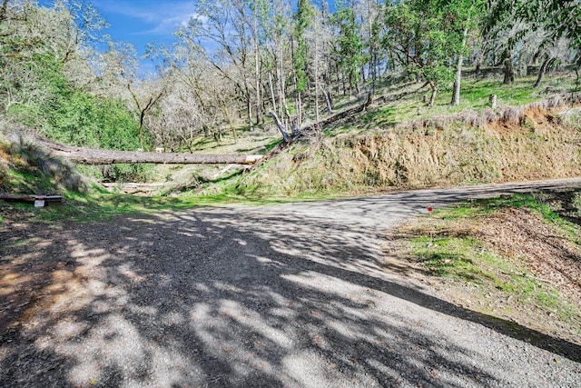 view of road