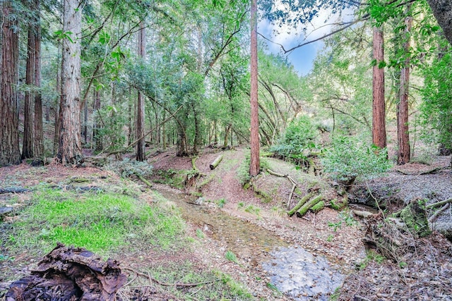 view of landscape with a forest view