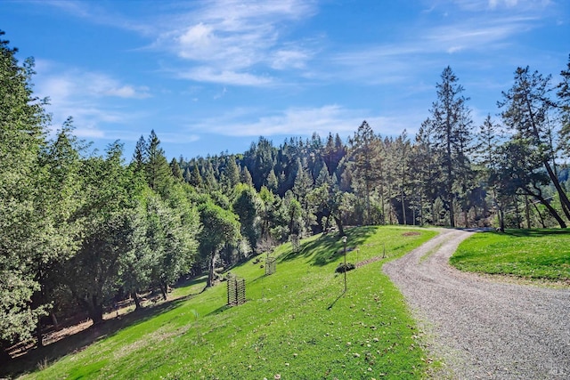 view of home's community featuring a lawn, a forest view, and driveway