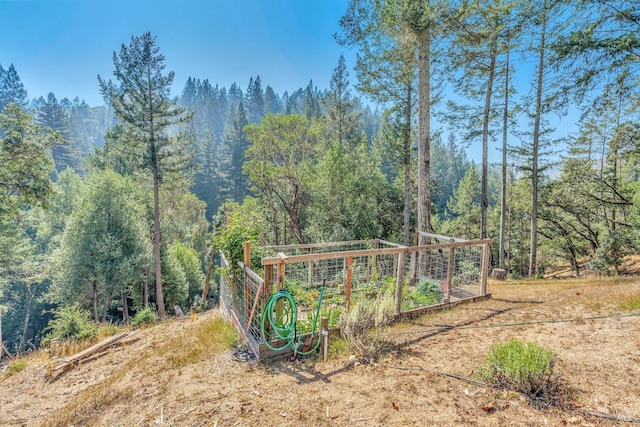 exterior space with a wooded view and a garden