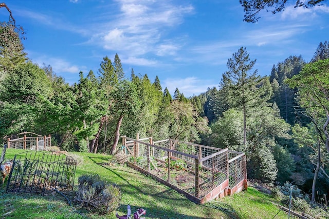 view of yard with a garden and a forest view