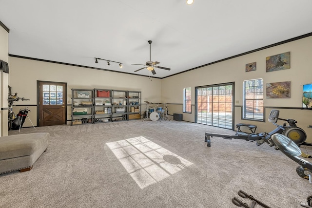 exercise area featuring carpet floors, ceiling fan, ornamental molding, and rail lighting