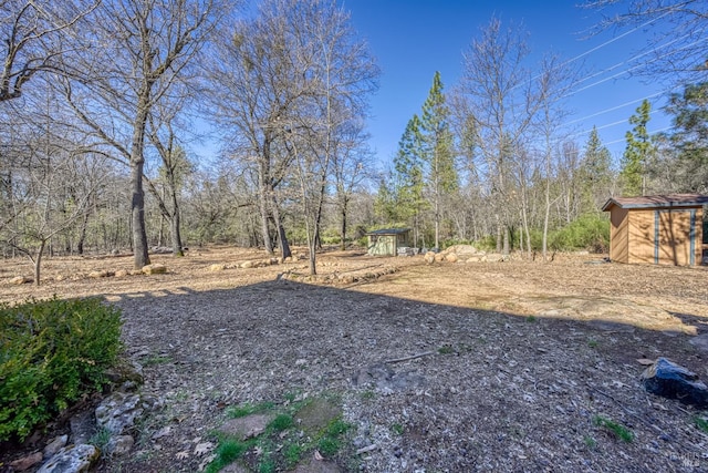 view of yard featuring a storage shed