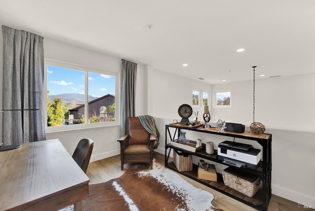 office space with hardwood / wood-style flooring and a mountain view