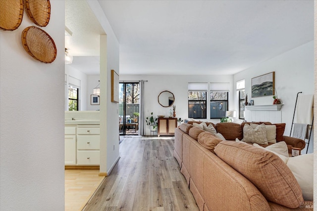 living room with light hardwood / wood-style floors