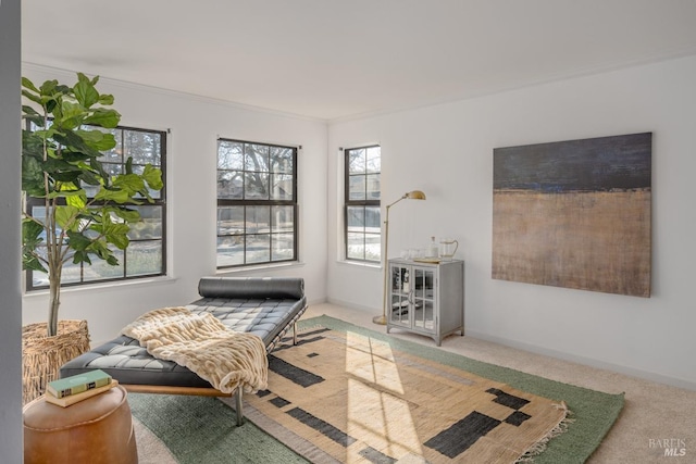 living area featuring carpet floors and ornamental molding