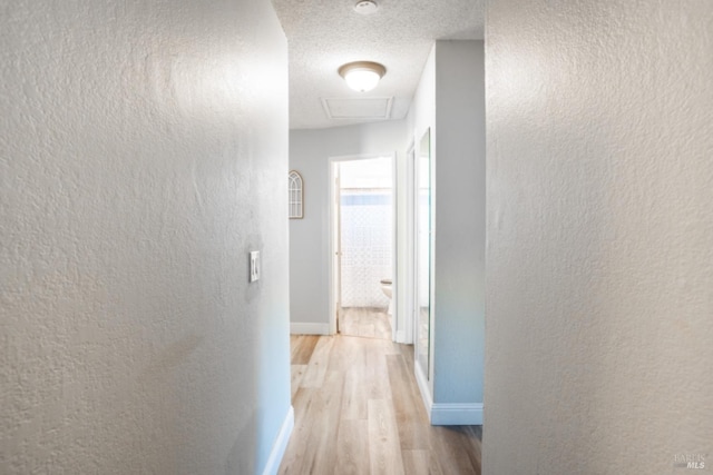 corridor featuring a textured ceiling and light hardwood / wood-style flooring