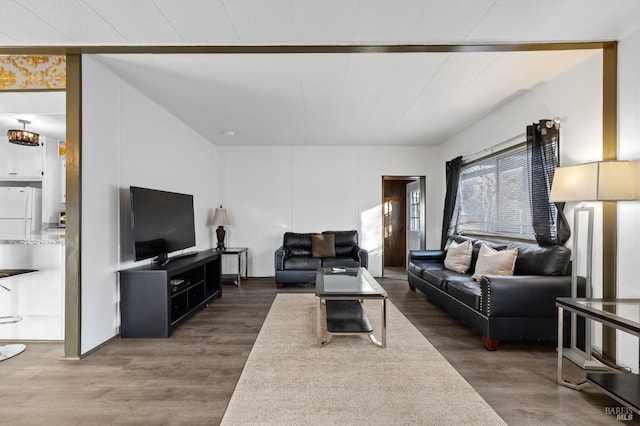 living room featuring dark hardwood / wood-style floors