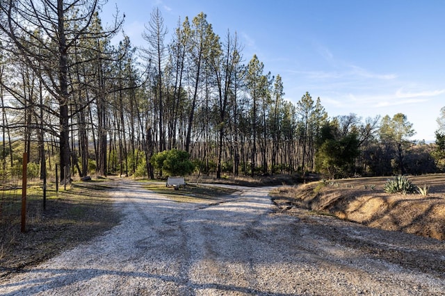 view of road