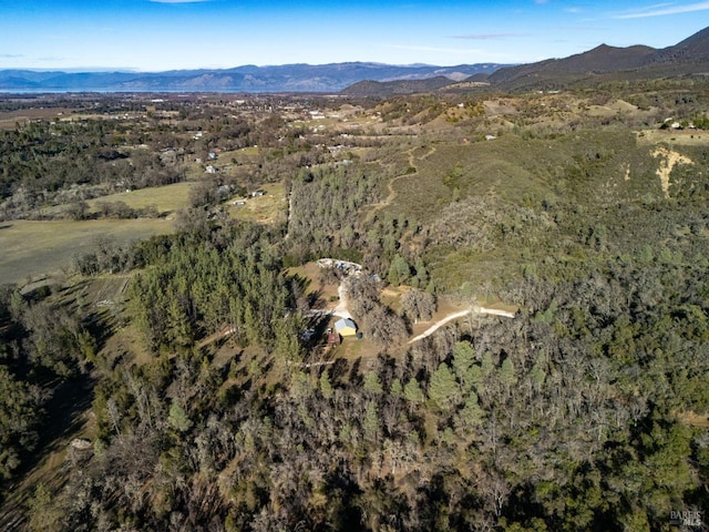 birds eye view of property with a mountain view