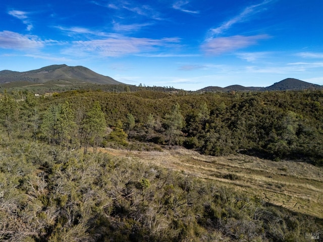 view of mountain feature