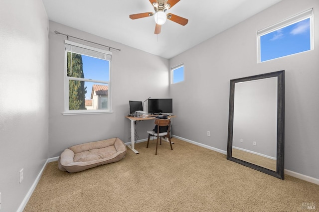 office featuring carpet flooring, ceiling fan, and baseboards