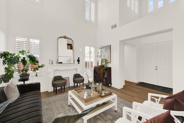 living room with a high ceiling and hardwood / wood-style flooring