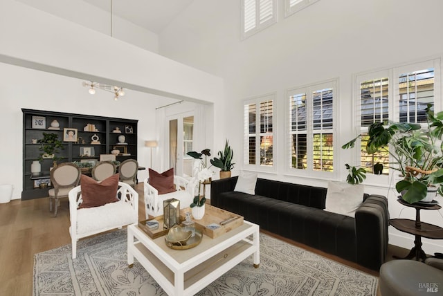 living room with a high ceiling and hardwood / wood-style flooring