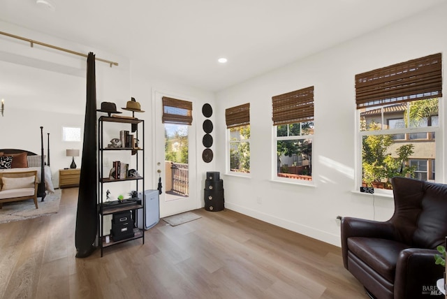 sitting room featuring a healthy amount of sunlight and hardwood / wood-style flooring