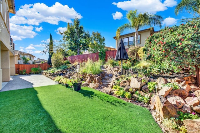 view of yard featuring a patio area