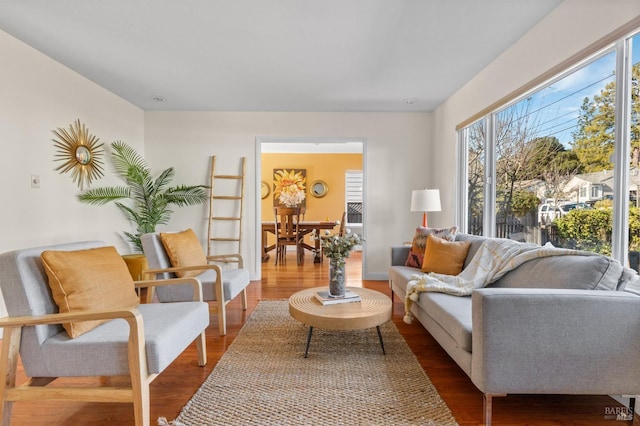 living area featuring wood finished floors