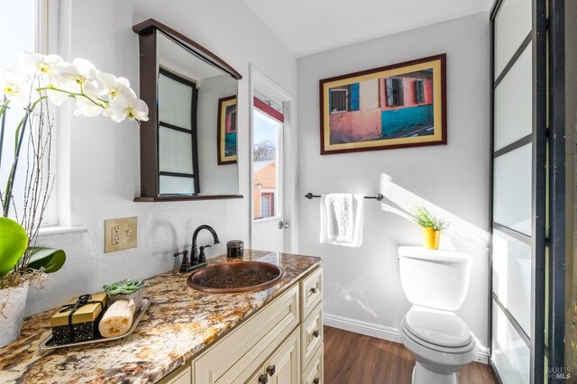 bathroom featuring vanity, plenty of natural light, an enclosed shower, and toilet