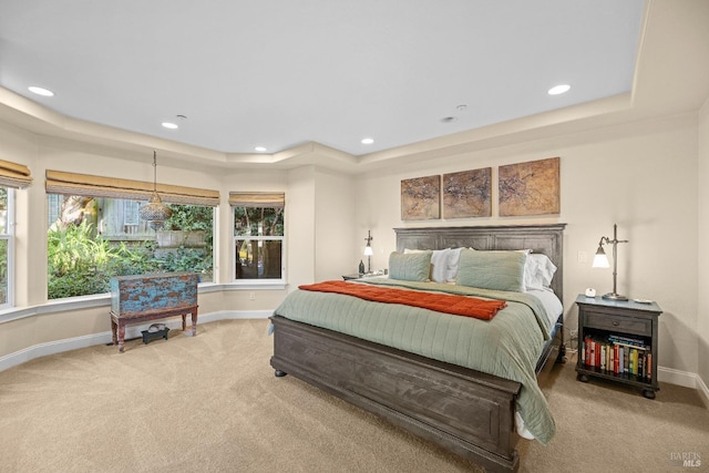 carpeted bedroom with a tray ceiling