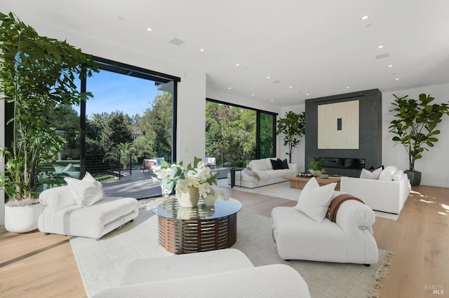 living room featuring a premium fireplace, a wall of windows, and light hardwood / wood-style flooring