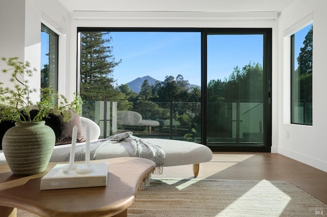 living area featuring a mountain view, plenty of natural light, and hardwood / wood-style flooring