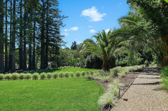 view of community featuring a yard