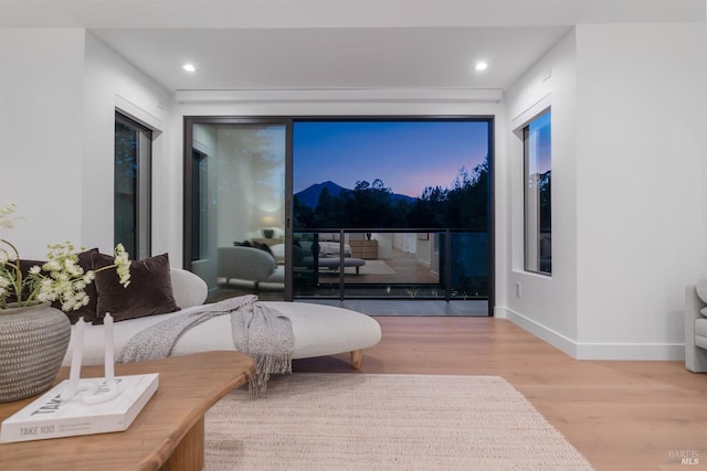 living area with hardwood / wood-style floors