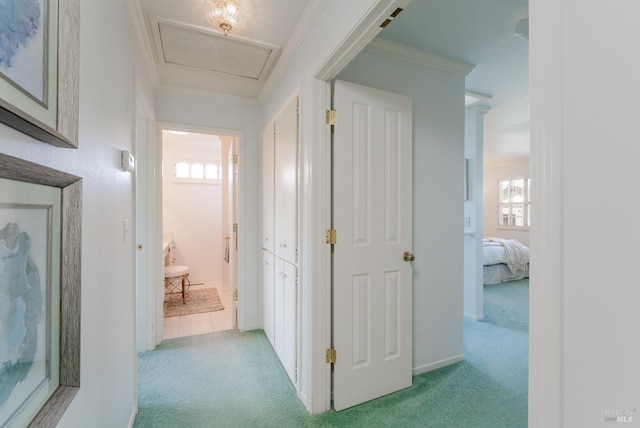 hall featuring light carpet, ornamental molding, and plenty of natural light