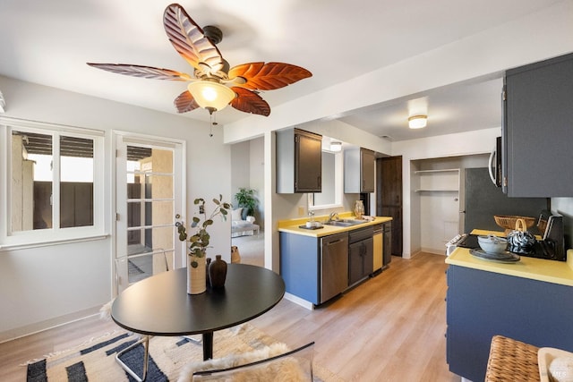 kitchen with ceiling fan, light wood-type flooring, sink, and stainless steel appliances