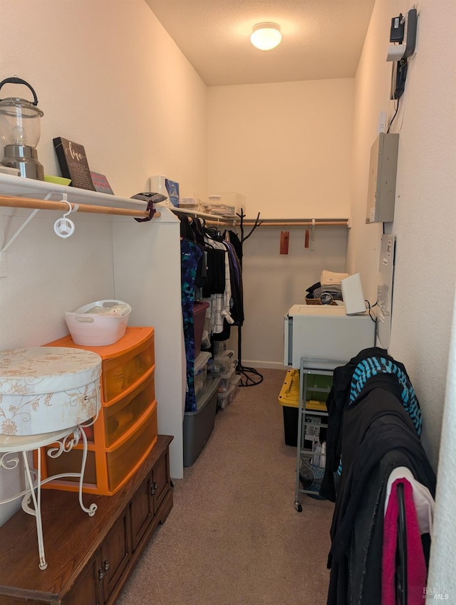 walk in closet with electric panel and light colored carpet