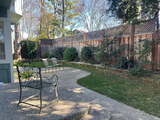 view of yard with a patio area