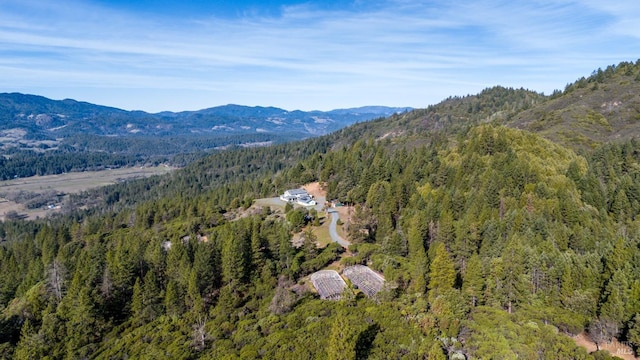 birds eye view of property featuring a mountain view