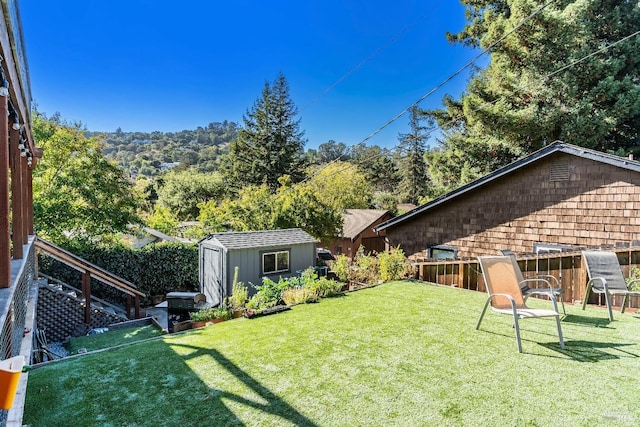 view of yard featuring a shed