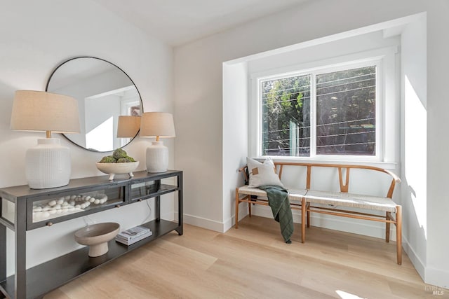 living area featuring light hardwood / wood-style floors