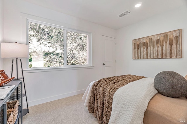 carpeted bedroom with multiple windows