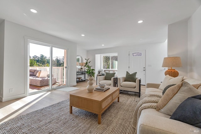 living room featuring a healthy amount of sunlight and light hardwood / wood-style floors