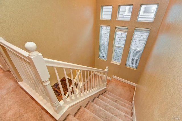 stairs featuring carpet